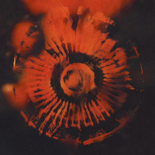 Deep Dynamics 002
