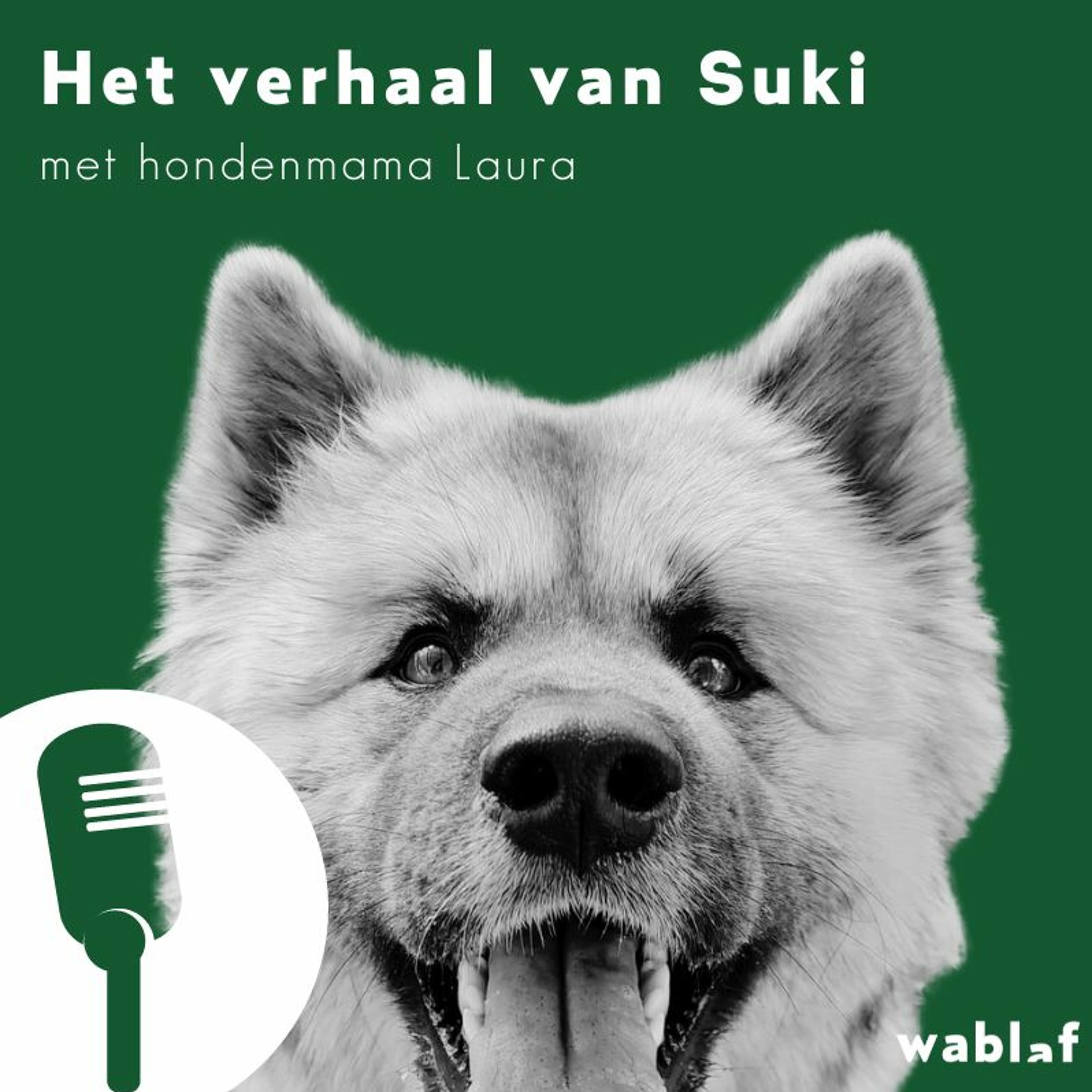 Bewuste Hondenmoeders