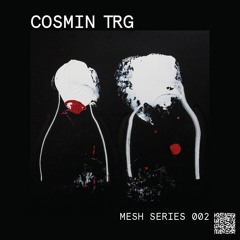 Mesh Series 02: Cosmin TRG