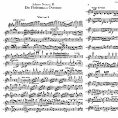 Die Fledermaus Overture -  Johann Strauss Jr.