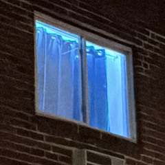 whole house blue(metafreeze)