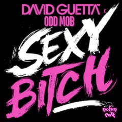 Sexy Bitch X Odd Mob NoFun Edit (FREE DOWNLOAD)