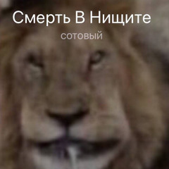 это не сон