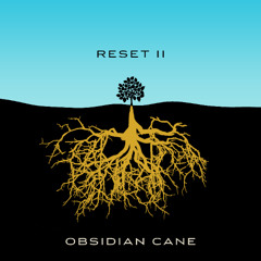 Obsidian Cane feat Ferraz - Shine