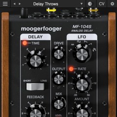 Moogerfooger MF-104S Delay | Trip It Beat | Lisa Bella Donna