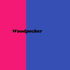 Woodpecker(instrumental)