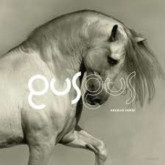 GUS GUS - Arabian Horse (De3 Reconstruction)