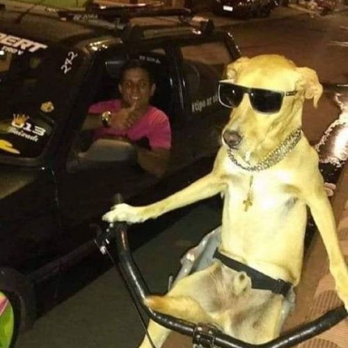 Lucas vert Type Beat - _Suite_ [og.records]