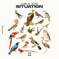 Kubilay Aydin - Situation