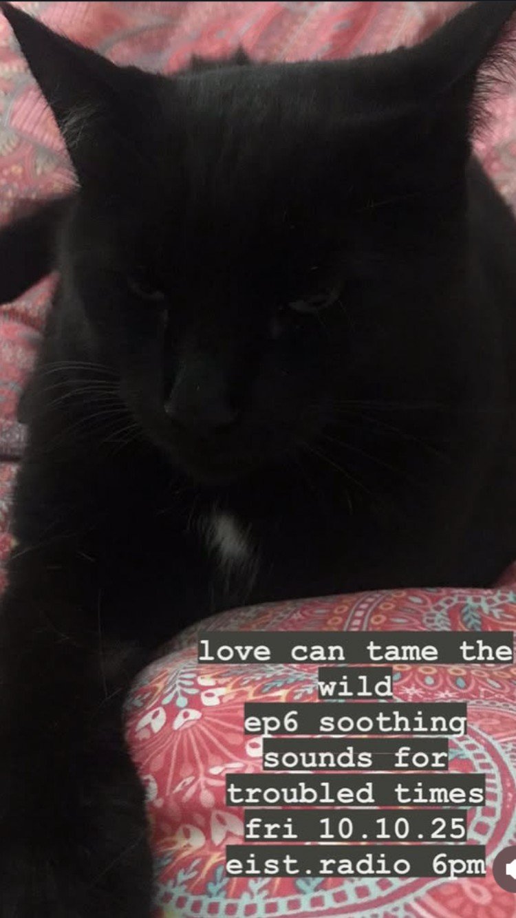 Love Can Tame The Wild - Ep6 soothing sounds for troubled times