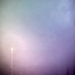 Willow Ambient Night @sub.terrain