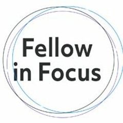 Fellow in Focus Lunchtime Discussions