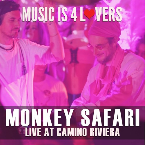 Monkey Safari Live at Music is 4 Lovers [2023-01-22 @ Camino Riviera, San Diego] [MI4L.com]