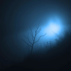 Ambient 12
