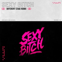 David Guetta Ft. Akon - Sexy Bitch (Different Stage Extended Remix) [Free Download]