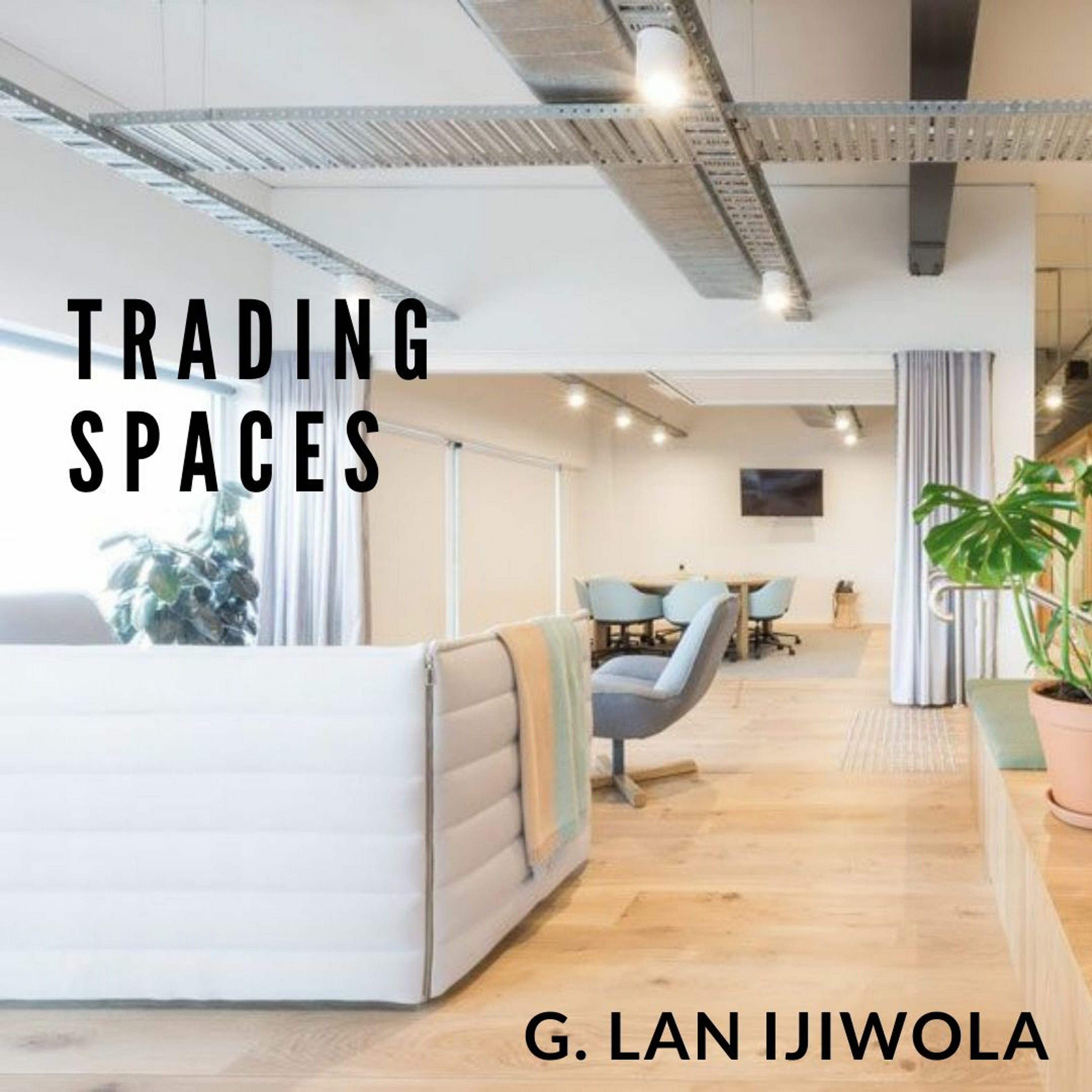 Trading Spaces episode artwork