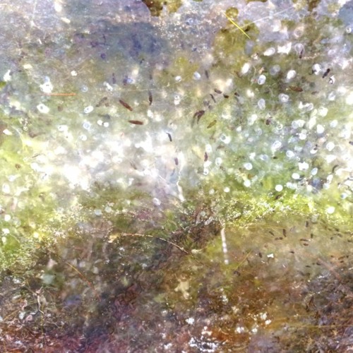 Dancegaze Mix (Shoegaze, Baggy, Dreampop, Indie)