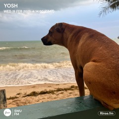 YOSH - 19 February 2025