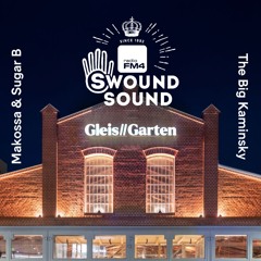 FM4 Swound Sound 1468