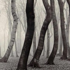 Back to Nature