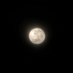 Marilyn Nelson reads and tells the story behind her poem “The Children’s Moon”
