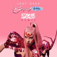 Lady Gaga - Stupid Love (Cahe Nardy Tribal Remix)