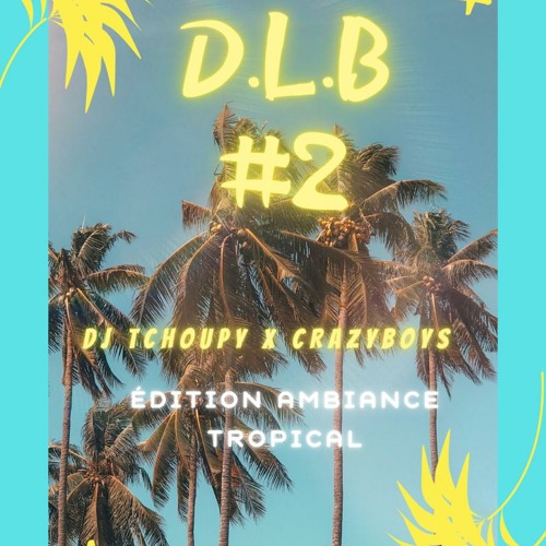CrazyBoys X Dj Tchoupy D.L.B #2 Edition Ambiance tropicale