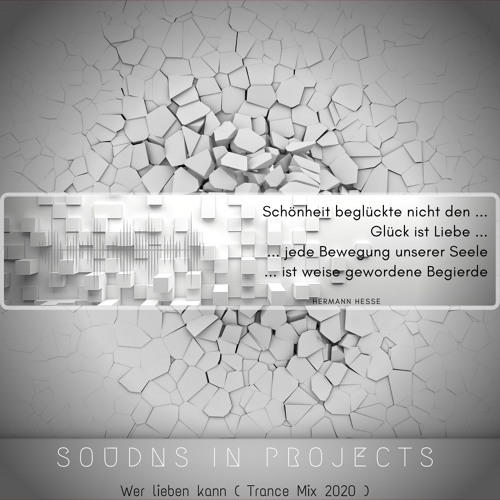 Sounds in Projects- Wer lieben kann ( Trance Mix 2020 )