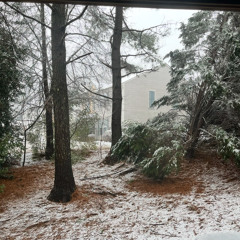 Took A Lot ft. Foreign Rogers