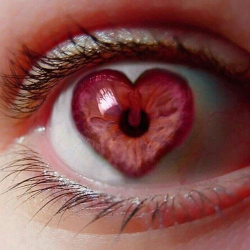 canções de amor pra te ver - speed