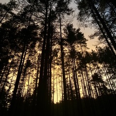 ps2 race game type beat type beat