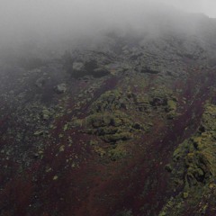 Notzing - Remixes / Appearances