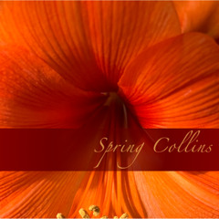 Spring Collins