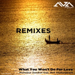 What You Won't Do For Love (Monsieur ZonZon Won't Give Up Mix)Monsieur ZonZon feat. Nell Shakespeare