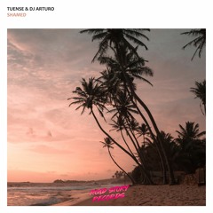 Tuense & Dj Arturo - Shamed