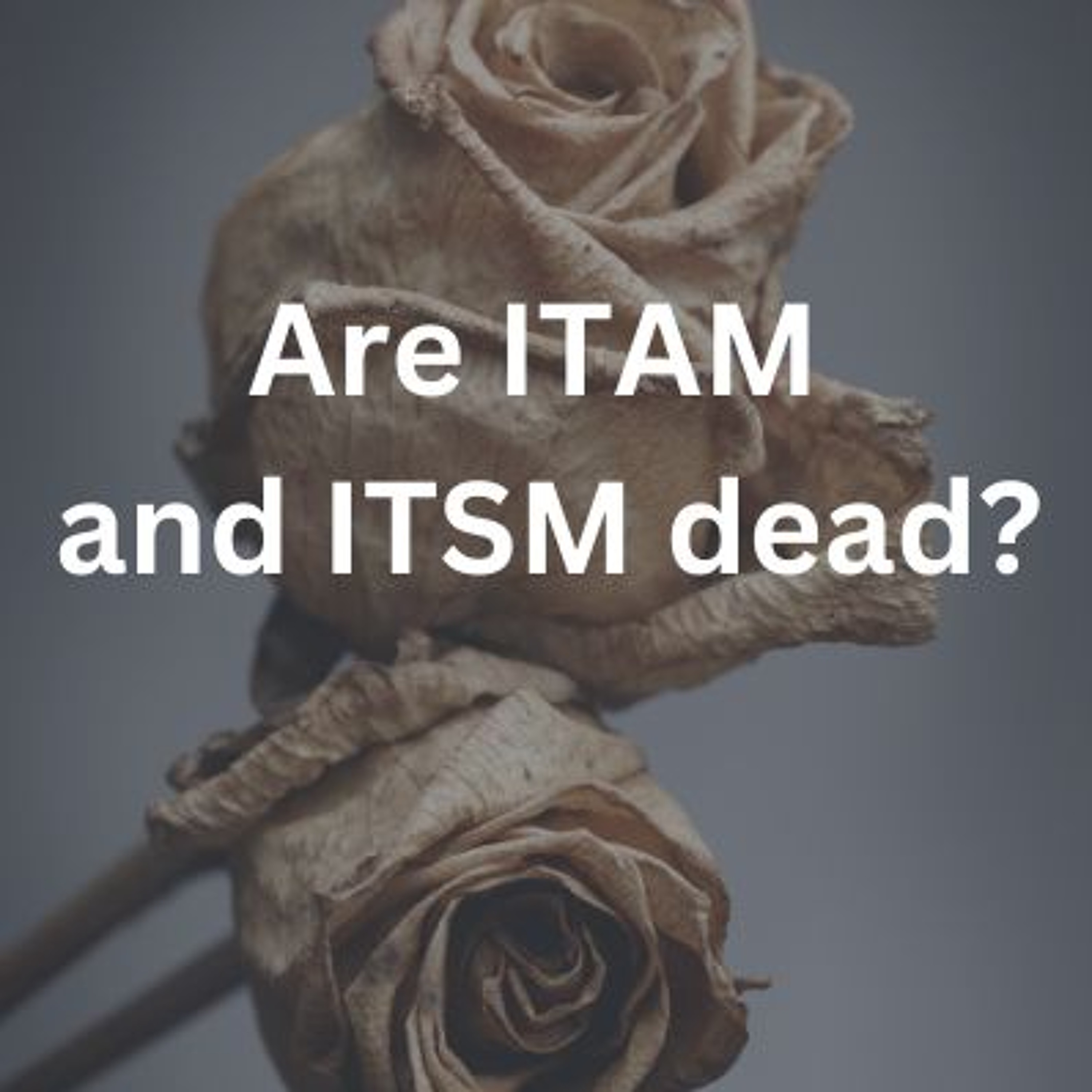 The ITAM Forum Podcast