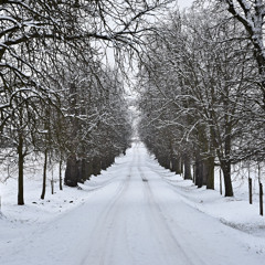 DJtheJudd - Progressive House Highway 570 (10 November 2025)