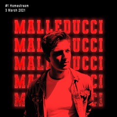 Malleducci #1