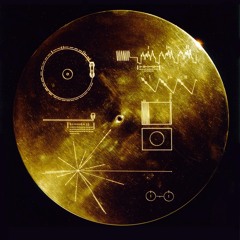 Wessam Gharib -  Voyager 1