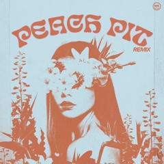 Peach Pit (Back Talk Remix)