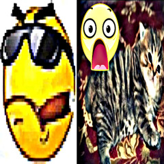 проёб (zeeroxx)