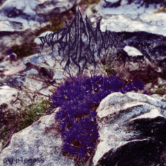 pvrplemoss - moonflower feat Vulture Lung