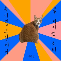 우리집 고양이가 물 마시는 소리