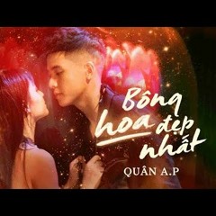 BÔNG HOA ĐẸP NHẤT X QUÂN A.P X Vũ Trần Remix