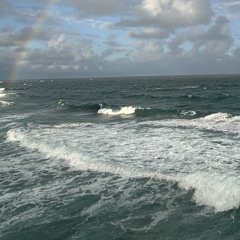 EverythingBar_12.6.25