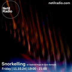 Snorkelling w/ Gabriel Hops & Clara Samson - 11th October 2024