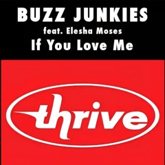 Buzz Junkies - If You Love Me feat. Elesha Moses (Moto Blanco Club Vocal)