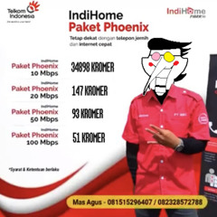 deltahome paket phoenix