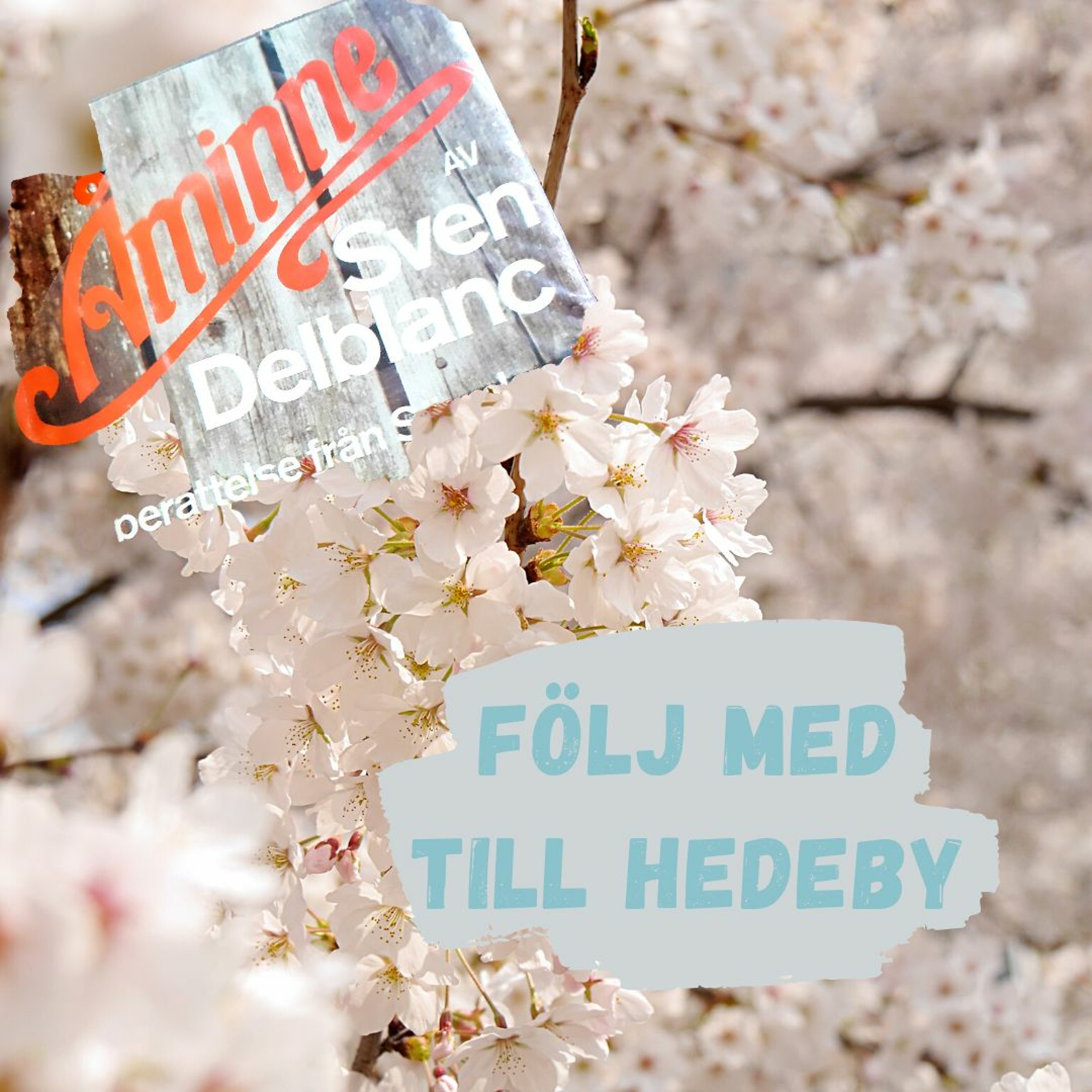 Följ med till Hedeby