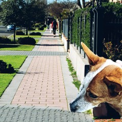Down the street
